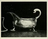 Picture 17 of 18 from Silver: pewter: Sheffield plate (1921), leaf 311