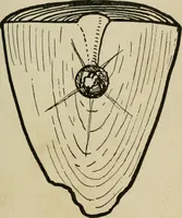 Picture 82 of 125 from Silverwork and jewelery; a text-book for students and workers in metal, by H. Wilson (1903), leaf 202