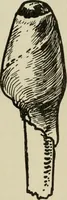 An illustration from Silverwork and jewelery; a text-book for students and workers in metal, by H. Wilson (1903)