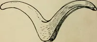 Picture 10 of 125 from Silverwork and jewelery; a text-book for students and workers in metal, by H. Wilson (1903), leaf 61