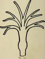 An illustration from Silverwork and jewelery; a text-book for students and workers in metal, by H. Wilson (1903)