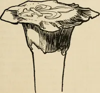 An illustration from Silverwork and jewelry : a text-book for students and workers in metal (1912)