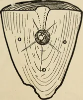 An illustration from Silverwork and jewelry : a text-book for students and workers in metal (1912)