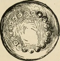 An illustration from Silverwork and jewelry : a text-book for students and workers in metal (1912)