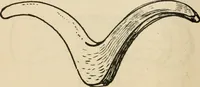 An illustration from Silverwork and jewelry : a text-book for students and workers in metal (1912)