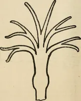 An illustration from Silverwork and jewelry : a text-book for students and workers in metal (1912)
