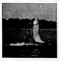 An illustration from The Badminton Magazine of Sports and Pasttimes 1895-08: Vol 1 Iss 1 (1895)