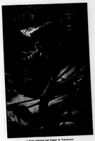 Picture 6 of 7 from The Badminton Magazine 1895-12: Vol 1 Iss 5 (1895), leaf 106