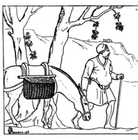 Picture 8 of 12 from The Badminton Magazine of Sports and Pasttimes 1896-01: Vol 2 Iss 6 (1896), leaf 78
