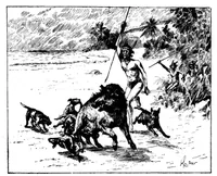 Picture 1 of 5 from The Badminton Magazine 1896-03: Vol 2 Iss 8 (1896), leaf 38