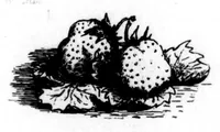 An illustration from The Badminton Magazine 1896-04: Vol 2 Iss 9 (1896)