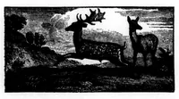 An illustration from The Badminton Magazine 1896-06: Vol 2 Iss 11 (1896)