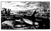 An illustration from The Badminton Magazine 1896-10: Vol 3 Iss 15 (1896)