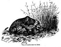 Picture 5 of 13 from The Badminton Magazine 1896-10: Vol 3 Iss 15 (1896), leaf 44