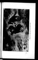 An illustration from The Badminton Magazine of Sports and Pasttimes 1897-01: Vol 4 Iss 18 (1897)