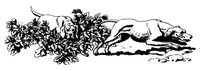 An illustration from The Badminton Magazine 1897-05: Vol 4 Iss 22 (1897)