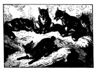 An illustration from The Badminton Magazine 1897-05: Vol 4 Iss 22 (1897)