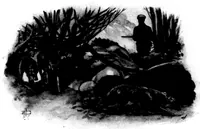 An illustration from The Badminton Magazine of Sports and Pasttimes 1897-07: Vol 5 Iss 24 (1897)