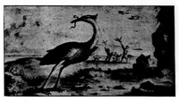 An illustration from The Badminton Magazine of Sports and Pasttimes 1897-07: Vol 5 Iss 24 (1897)