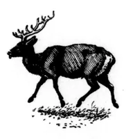 An illustration from The Badminton Magazine 1897-11: Vol 5 Iss 28 (1897)
