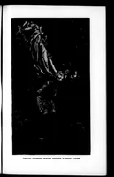 Picture 1 of 10 from The Badminton Magazine 1897-12: Vol 5 Iss 29 (1897), leaf 10