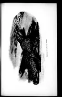 An illustration from The Badminton Magazine 1897-12: Vol 5 Iss 29 (1897)
