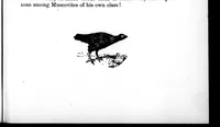 An illustration from The Badminton Magazine 1898-02: Vol 6 Iss 31 (1898)