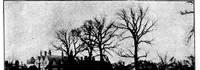 Picture 7 of 10 from The Badminton Magazine 1898-02: Vol 6 Iss 31 (1898), leaf 60