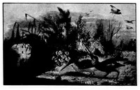 An illustration from The Badminton Magazine 1898-03: Vol 6 Iss 32 (1898)