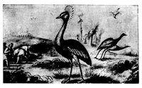 An illustration from The Badminton Magazine 1898-04: Vol 6 Iss 33 (1898)