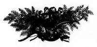 An illustration from The Badminton Magazine 1898-05: Vol 6 Iss 34 (1898)