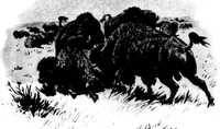 An illustration from The Badminton Magazine 1898-05: Vol 6 Iss 34 (1898)