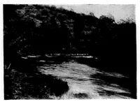 An illustration from The Badminton Magazine 1898-05: Vol 6 Iss 34 (1898)