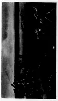 An illustration from The Badminton Magazine 1898-06: Vol 6 Iss 35 (1898)