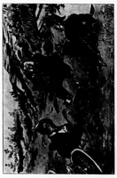 An illustration from The Badminton Magazine of Sports and Pasttimes 1898-07: Vol 7 Iss 36 (1898)