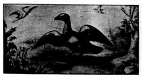 An illustration from The Badminton Magazine 1898-08: Vol 7 Iss 37 (1898)