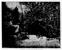 An illustration from The Badminton Magazine 1898-09: Vol 7 Iss 38 (1898)