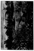 An illustration from The Badminton Magazine 1898-11: Vol 7 Iss 40 (1898)