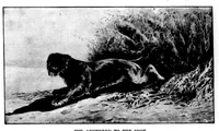 An illustration from The Badminton Magazine 1898-12: Vol 7 Iss 41 (1898)