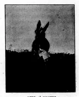 Picture 6 of 9 from The Badminton Magazine 1898-12: Vol 7 Iss 41 (1898), leaf 62