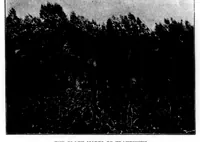 An illustration from The Badminton Magazine of Sports and Pasttimes 1899-01: Vol 8 Iss 42 (1899)