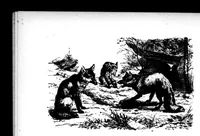 An illustration from The Badminton Magazine 1899-02: Vol 8 Iss 43 (1899)