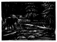 An illustration from The Badminton Magazine 1899-03: Vol 8 Iss 44 (1899)