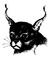 An illustration from The Badminton Magazine 1899-04: Vol 8 Iss 45 (1899)