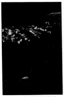 An illustration from The Badminton Magazine 1899-05: Vol 8 Iss 46 (1899)