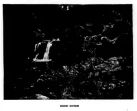 Picture 5 of 9 from The Badminton Magazine 1899-06: Vol 8 Iss 47 (1899), leaf 68