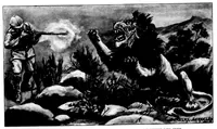 Picture 10 of 10 from The Badminton Magazine of Sports and Pasttimes 1899-07: Vol 9 Iss 48 (1899), leaf 102