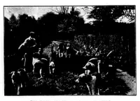 An illustration from The Badminton Magazine 1899-08: Vol 9 Iss 49 (1899)