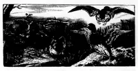 An illustration from The Badminton Magazine 1899-08: Vol 9 Iss 49 (1899)