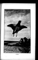 Picture 1 of 7 from The Badminton Magazine 1899-09: Vol 9 Iss 50 (1899), leaf 4